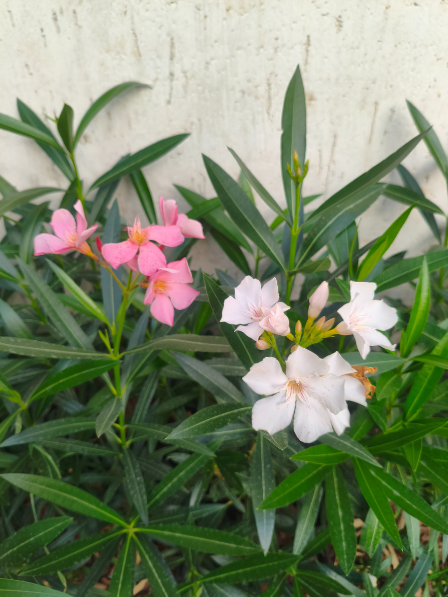 Листайте галерею вправо - еще 4 фото