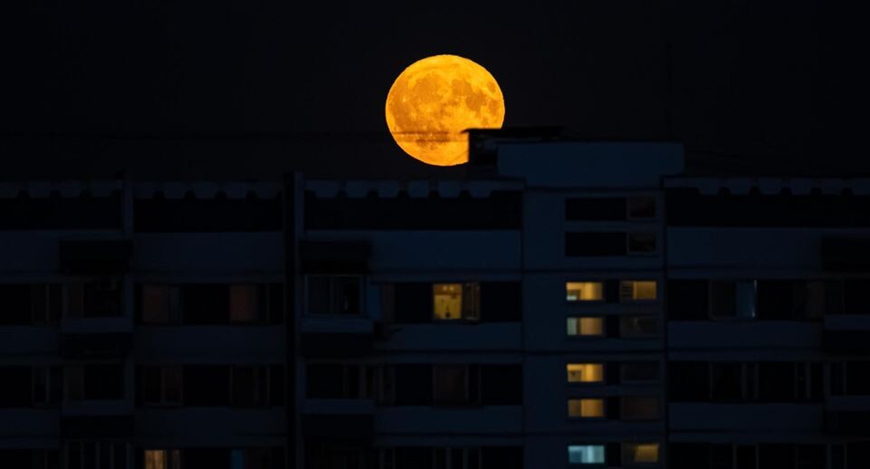    Edgar Breshchanov / www.globallookpress.com