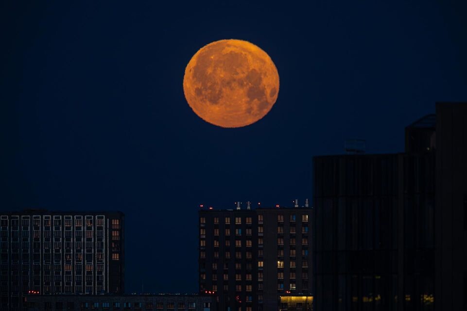    Edgar Breshchanov / www.globallookpress.com