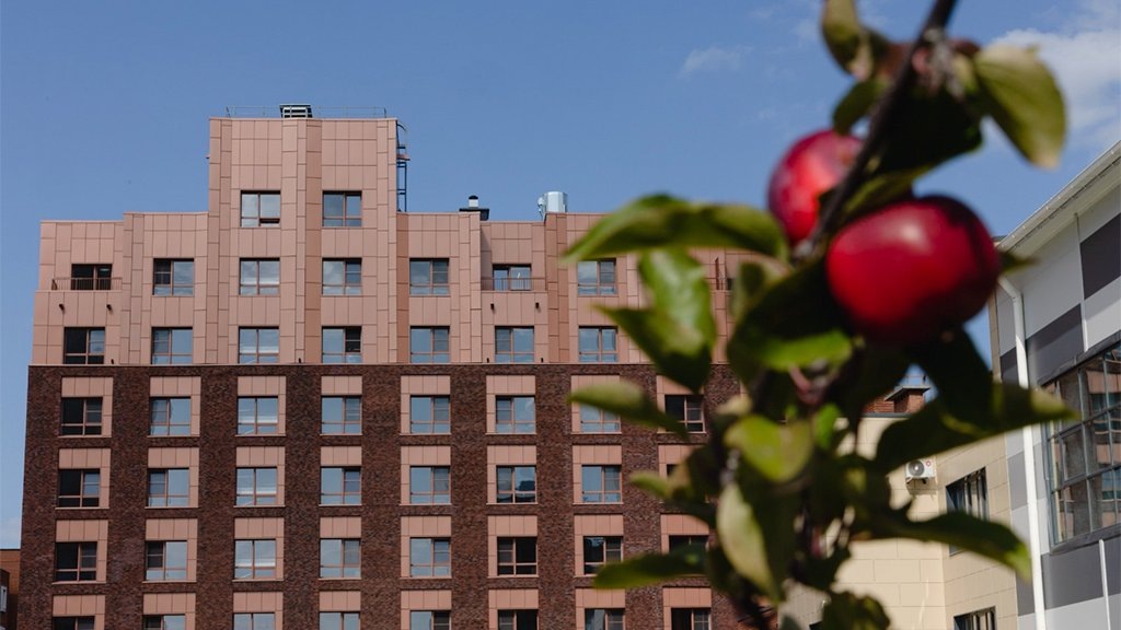    Фото Ильи Бархатова