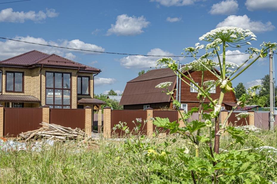    Konstantin Kokoshkin/Global Look Press