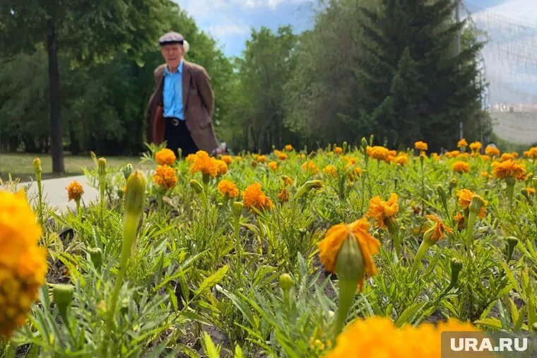 Женщин-пенсионеров в России почти в два раза больше, чем мужчин. Фото: Екатерина Сычкова © URA.RU