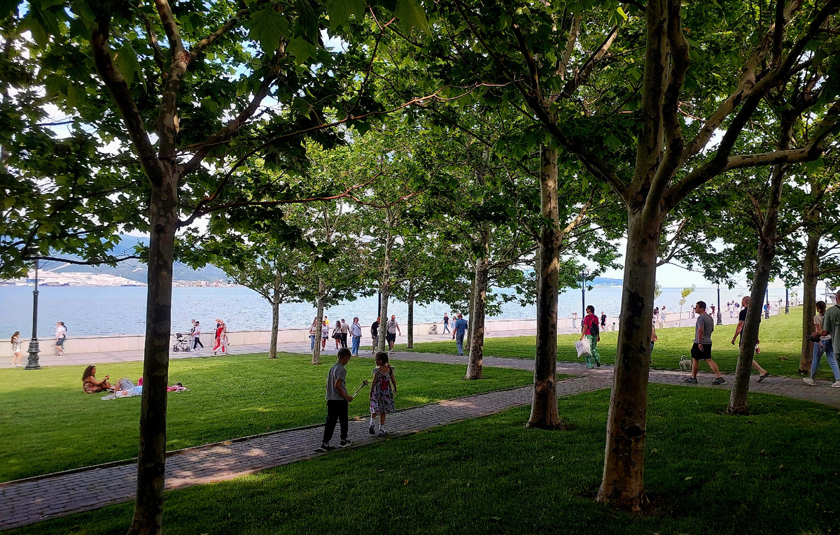 Набережная адмирала Серебрякова в Новороссийске: в тени каштанов