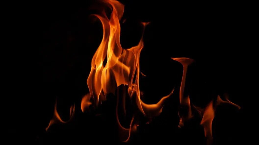    Korneliia Lutso\shutterstock.com