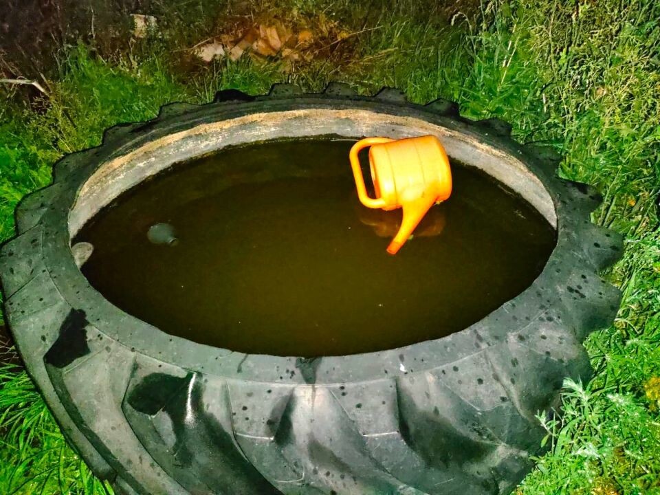    Место трагедии. Источник: СУ СКР по Алтайскому краю