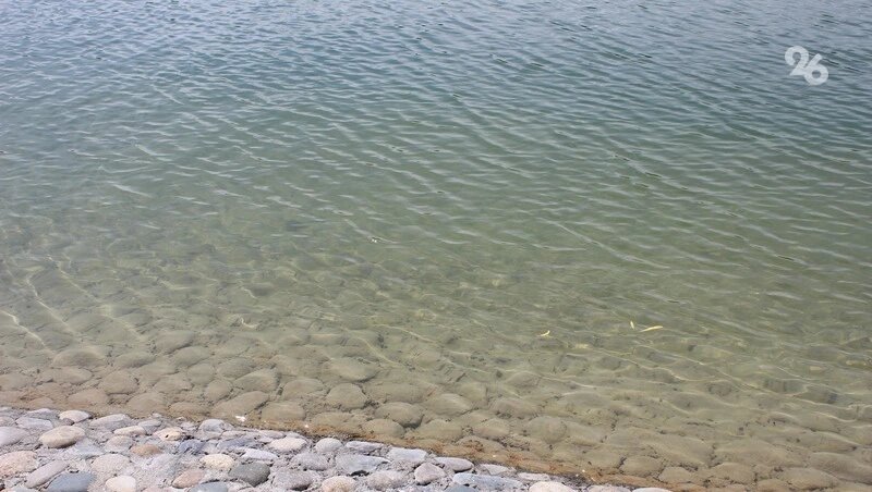      Фото: ИА «Победа26»