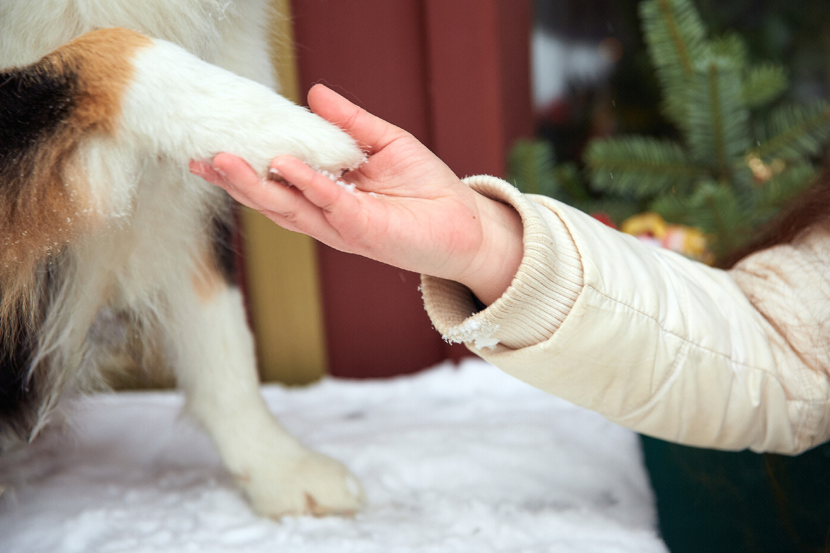 Договор скрепили рукопожатием