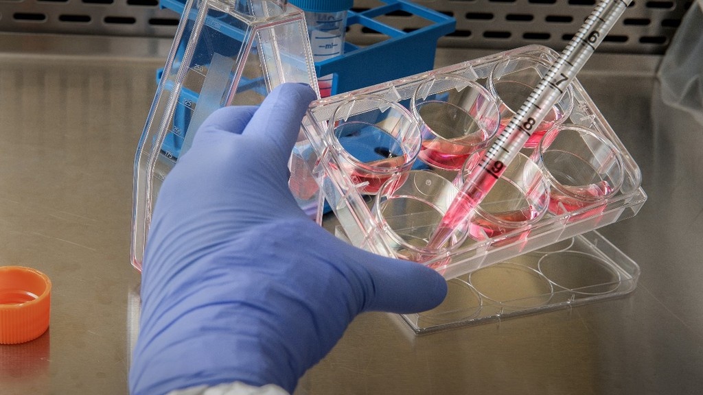    Фото © Unsplash.com