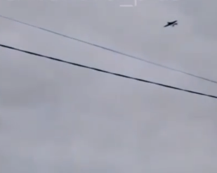    Фото: Соцсети