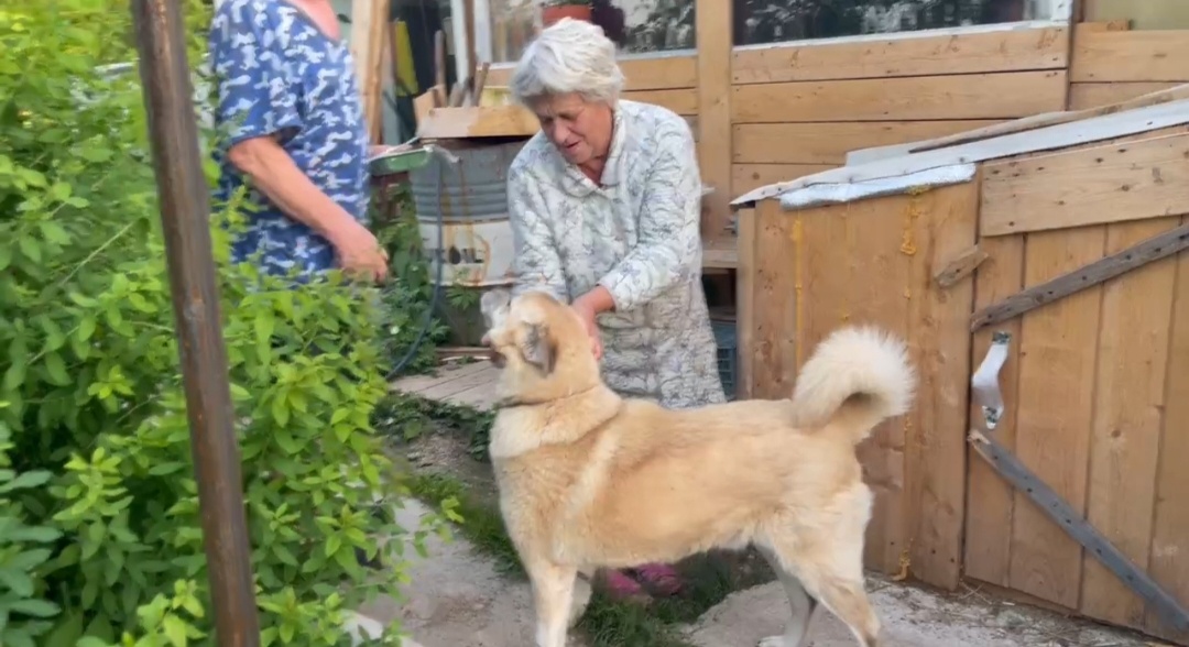 Людмила Валерьяновна с мужем любят Бима