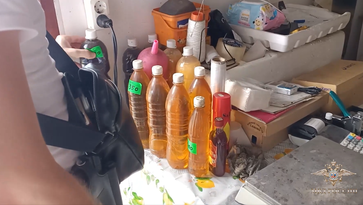     / Источник: © МВД России