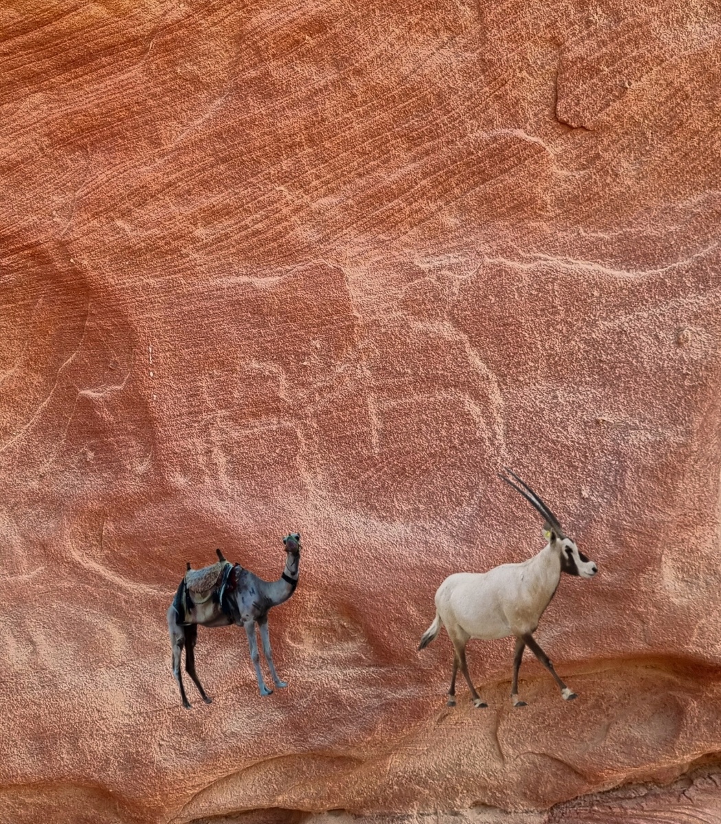 Расшифровка изображения 