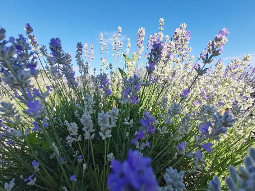    © "Интерфакс". Ксения Новикова