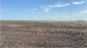 Фото: пресс-служба Уральского межрегионального управления Россельхознадзора