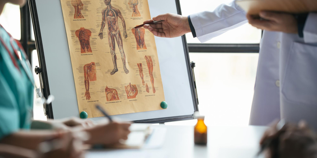 Удивительные возможности человеческого тела: 7 фактов, которые восхищают