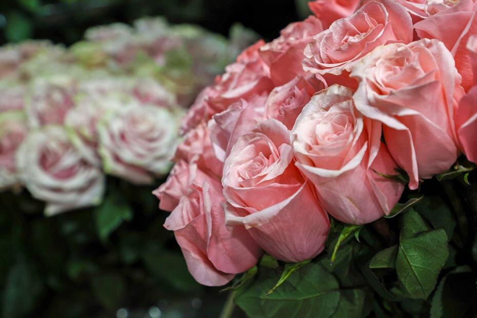    Алексей Белкин/NEWS.ru