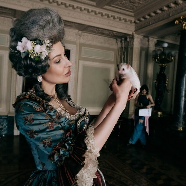     Рецензия на клип «Ёж» группы «Ленинград»: Анекдоты для пятого класса