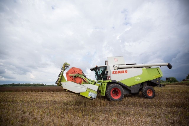   Фото: КФХ «Калина», «ВКонтакте»