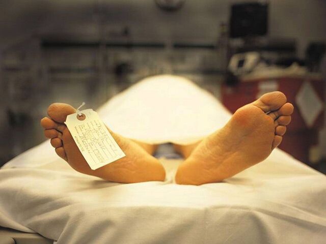 Источник: https://i.pinimg.com/736x/f5/c5/d3/f5c5d31ede6c0abd4a887675b2625061.jpg