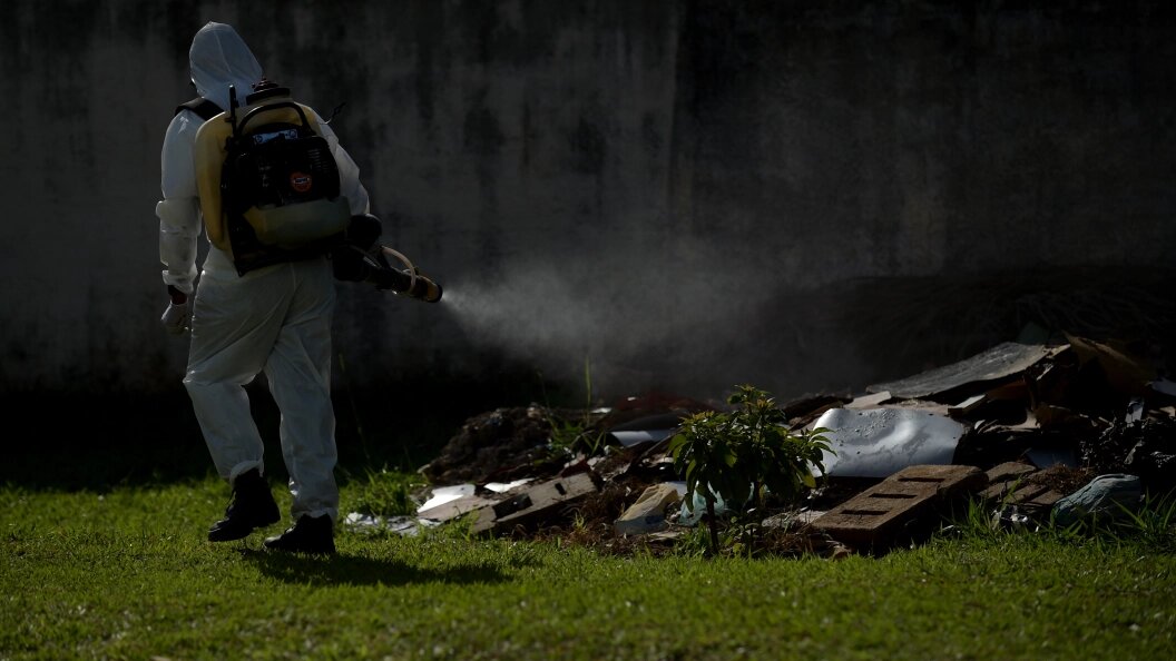    Фото: Lucio Tavora /Globallookpress