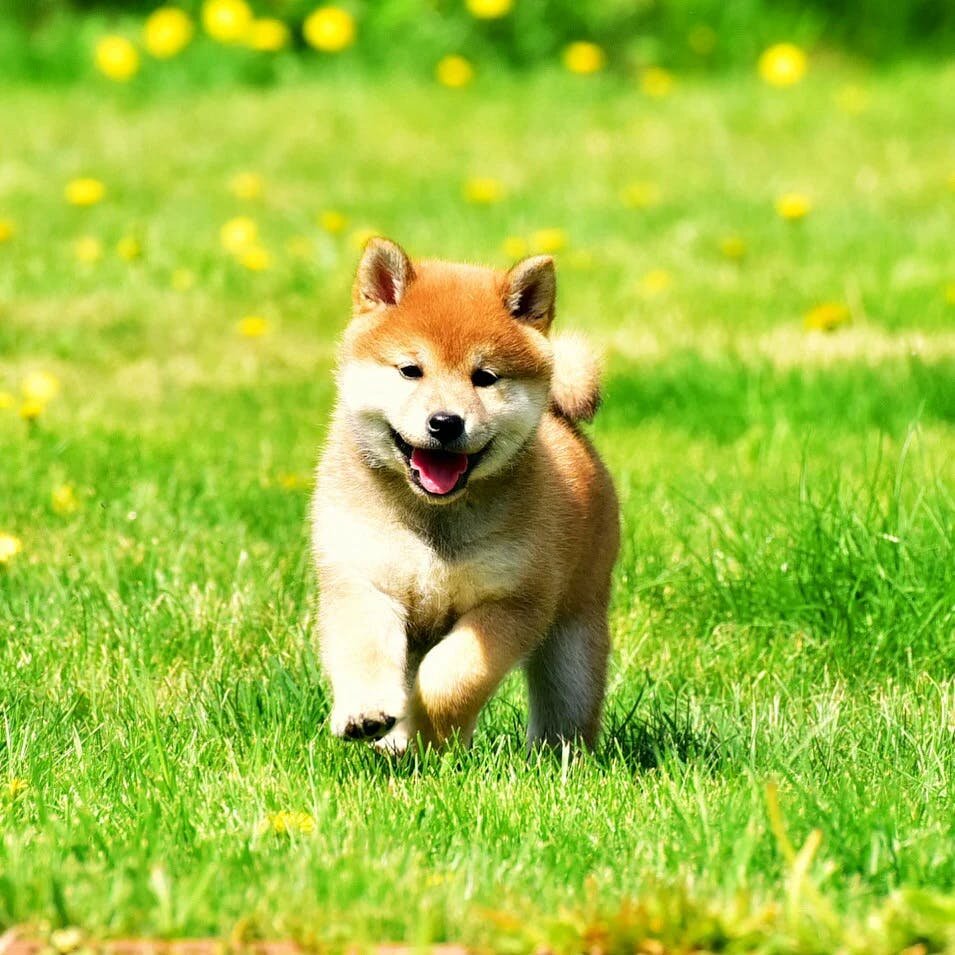 Этот взгляд заслуживает особенного имени, не так ли?