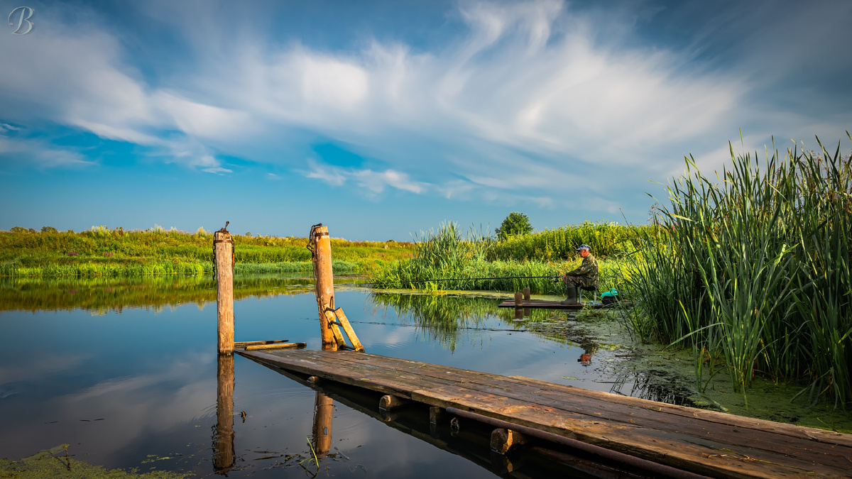 фото взято из открытых источников 