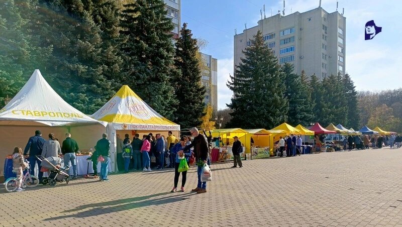      Фото: Дарья Куличенко / / ИА «Победа26»