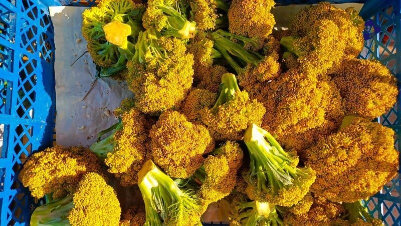     Фото: Дарья Куличенко / / ИА «Победа26»