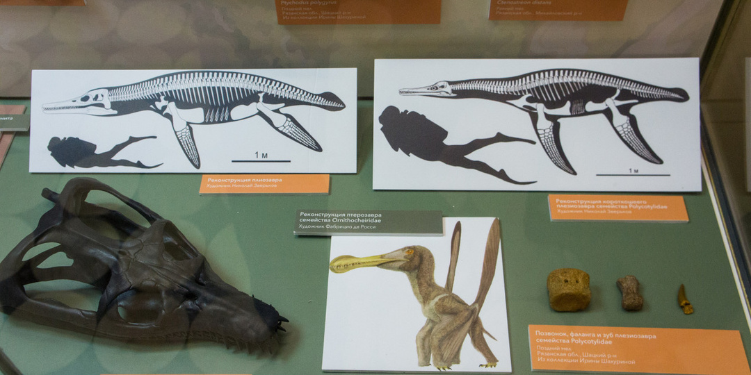 Драконы Подмосковья: что оставило на память о себе московское море