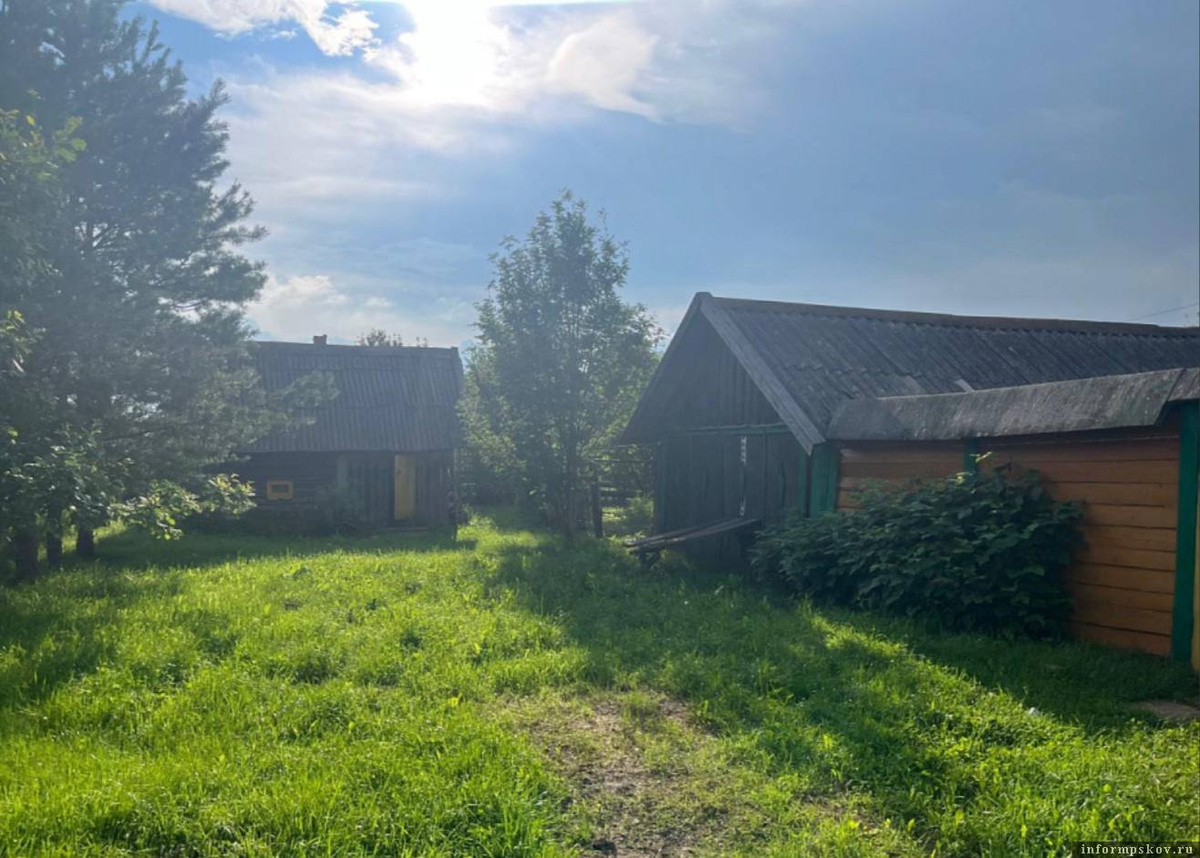 Фото здесь и далее: пресс-служба УМВД России по Псковской области