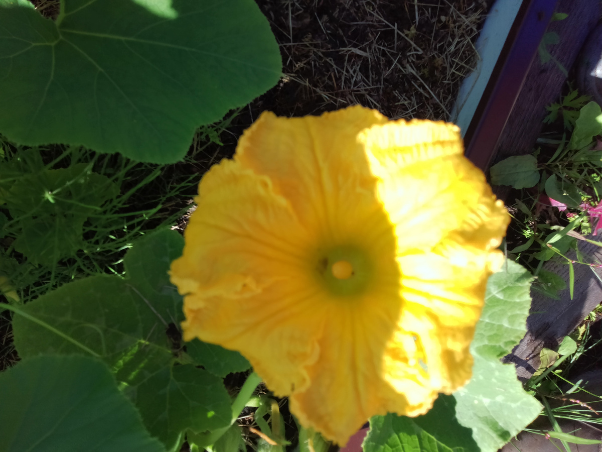 Фото автора. 