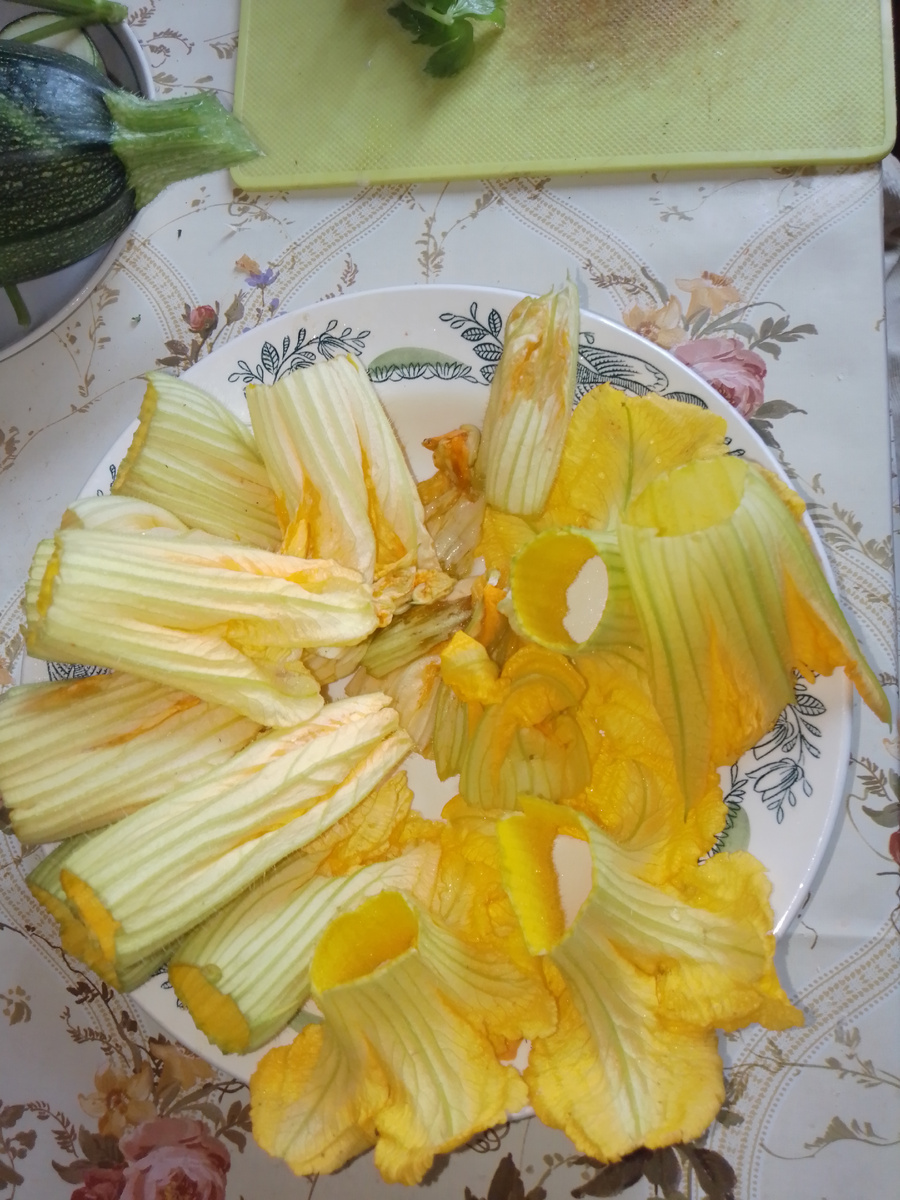 Фото автора. Цветы кабачков и тыквы