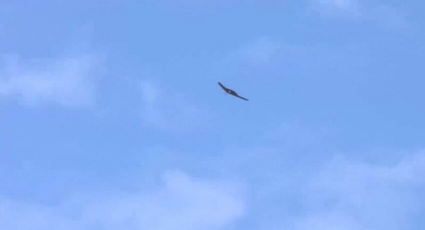    Минобороны РФ.