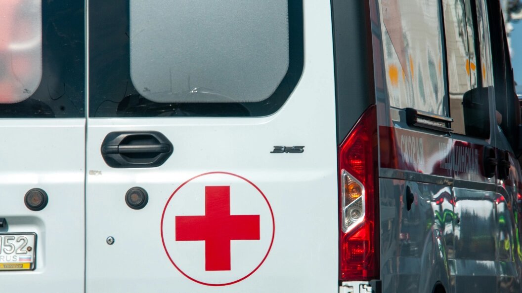    Svetlana Vozmilova/Global Look Press/Globallookpress