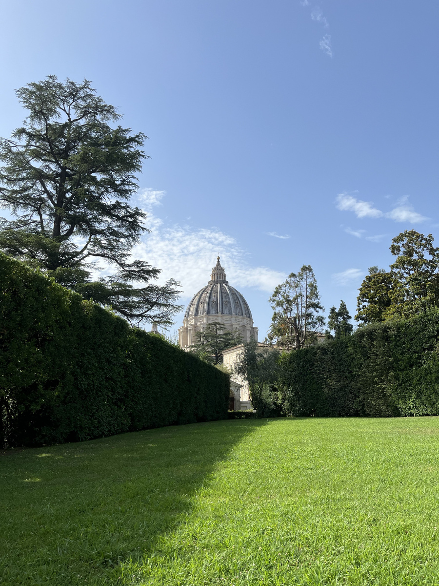 Вид на собор из садов