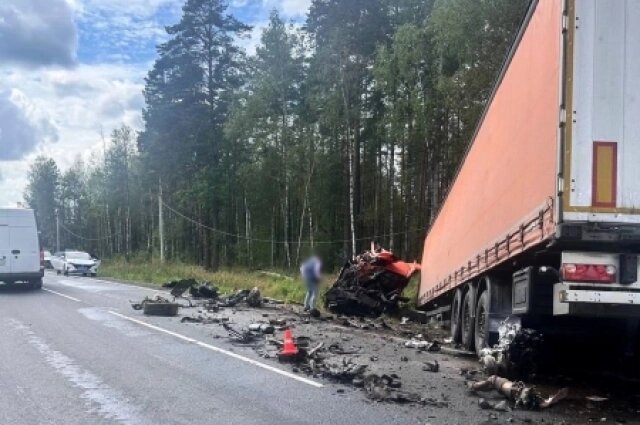    Водителя большегруза госпитализировали. Фото: УМВД Владимирской области