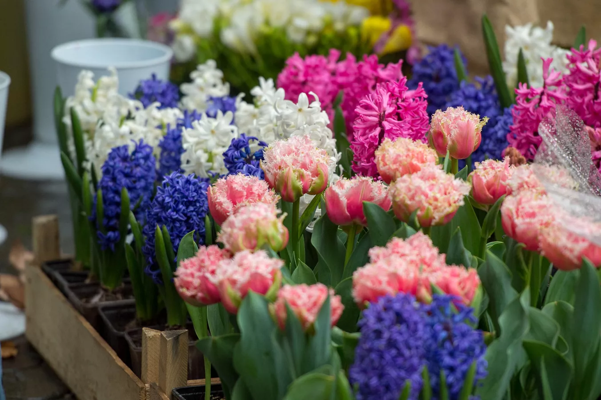 © Sputnik / Asatur Yesayants