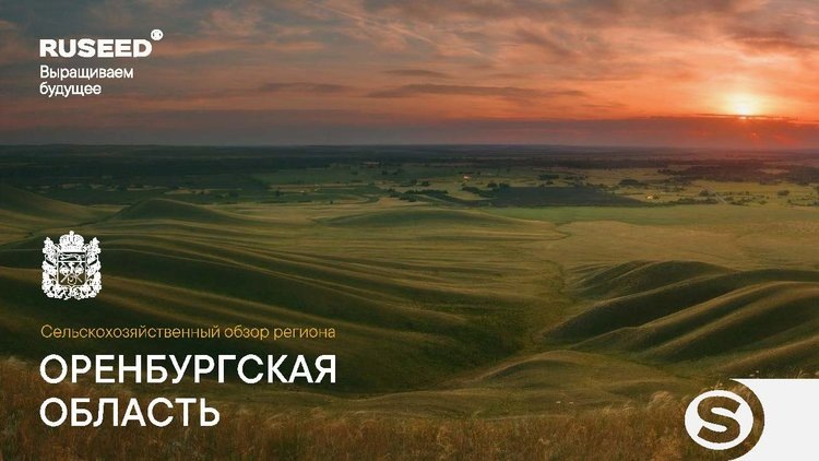    Аналитический отчет о сельском хозяйстве Оренбургской области от RUSEED
