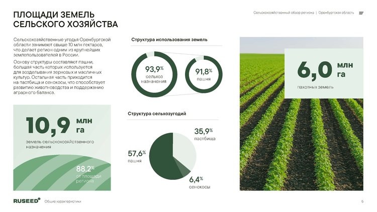     Аналитический отчет о сельском хозяйстве Оренбургской области от RUSEED
