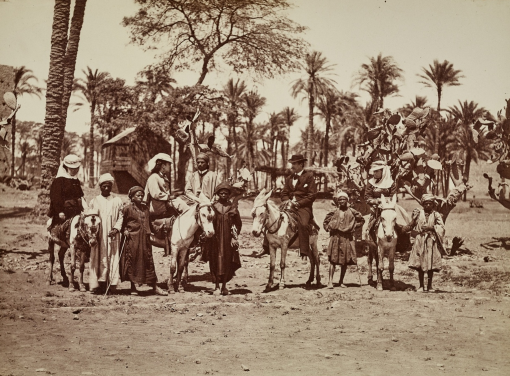    Фотография