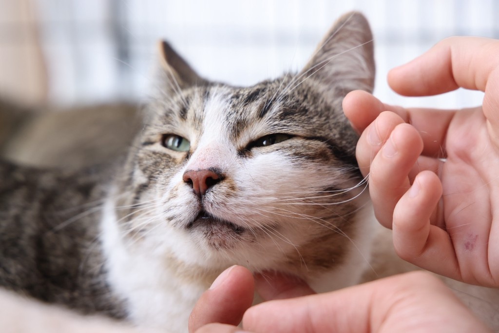    Фото © Анастасия Романова / Абзац