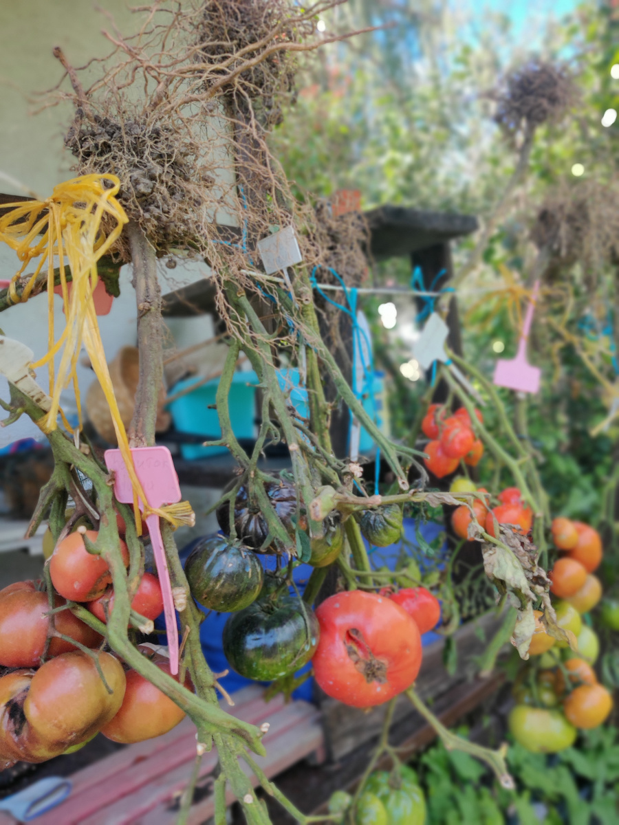 Гномы под навесом