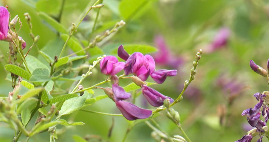    Источник фото: