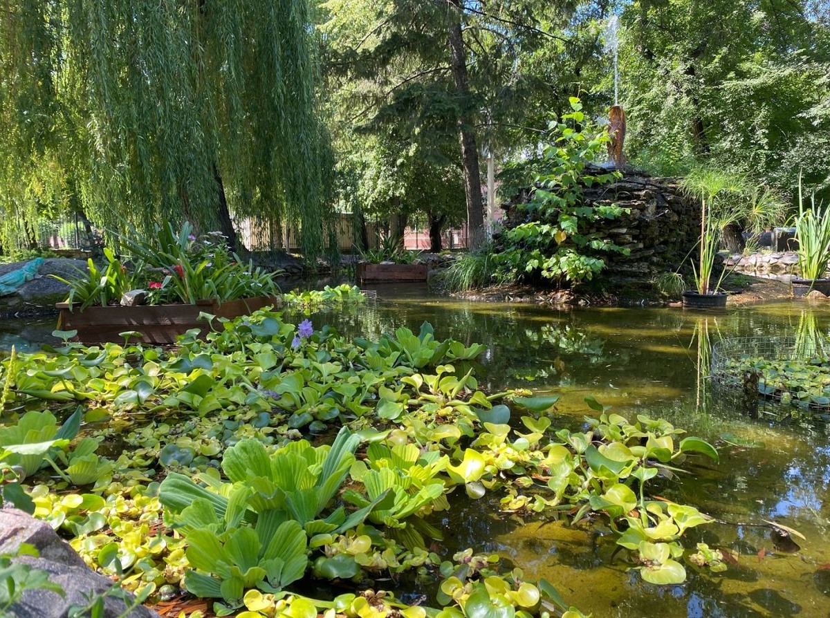     Фото: vk.com/zooparkvrn