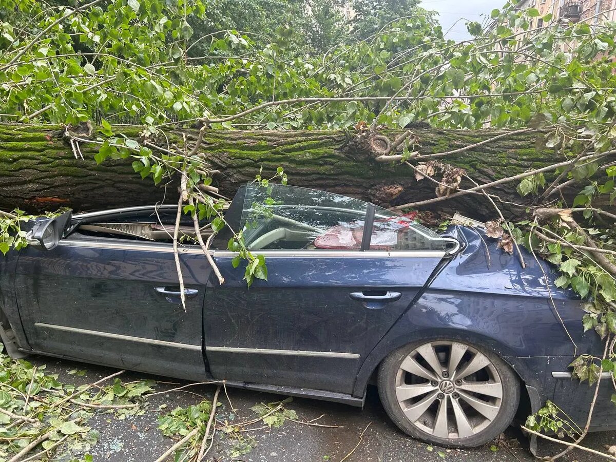    Фото: Мойка78