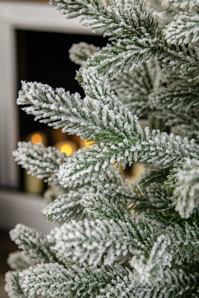 
На фото Ель искусственная настольная Царь Елка Адель заснеженная 
