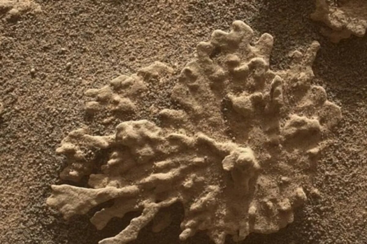    DM: на Марсе обнаружены новые признаки древней жизни