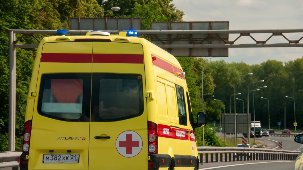    Svetlana Vozmilova/Global Look Press