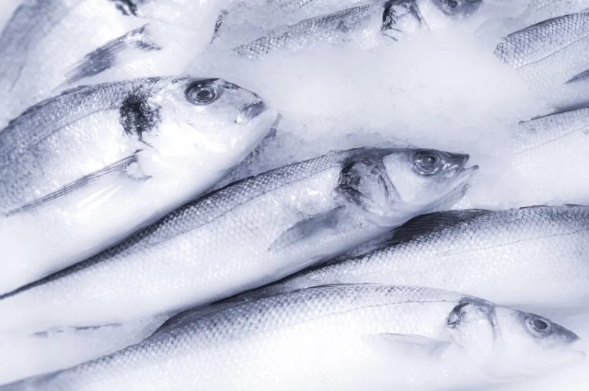    В Ульяновской области за полгода забраковали 125 кг рыбы и морепродуктов