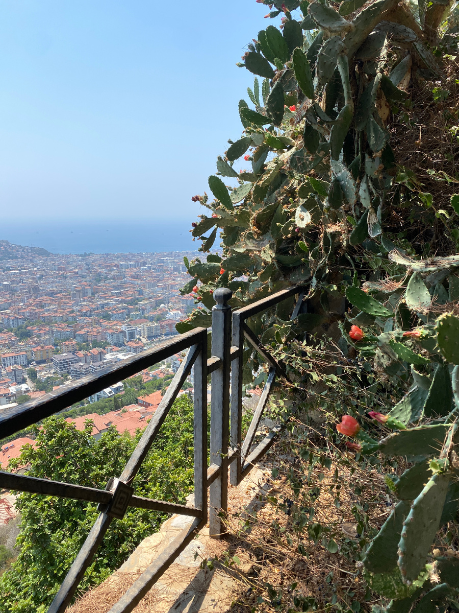 Автор фото я. Красиво же?)